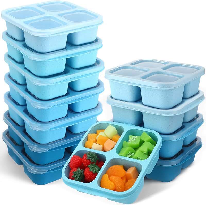 12 Reusable Snack Box Containers for Meal Prep