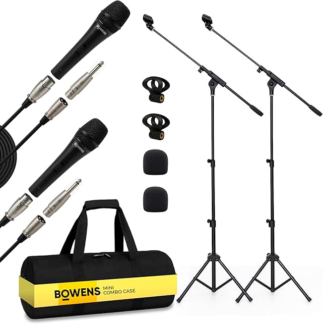 Two Microphones with Stand, Cables, and Case