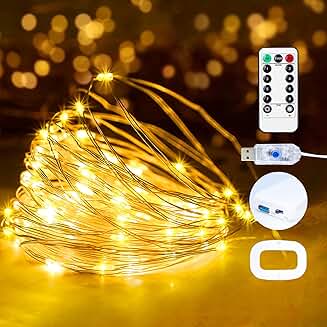 16ft 50 LED USB Fairy String Lights with Remote and Timer