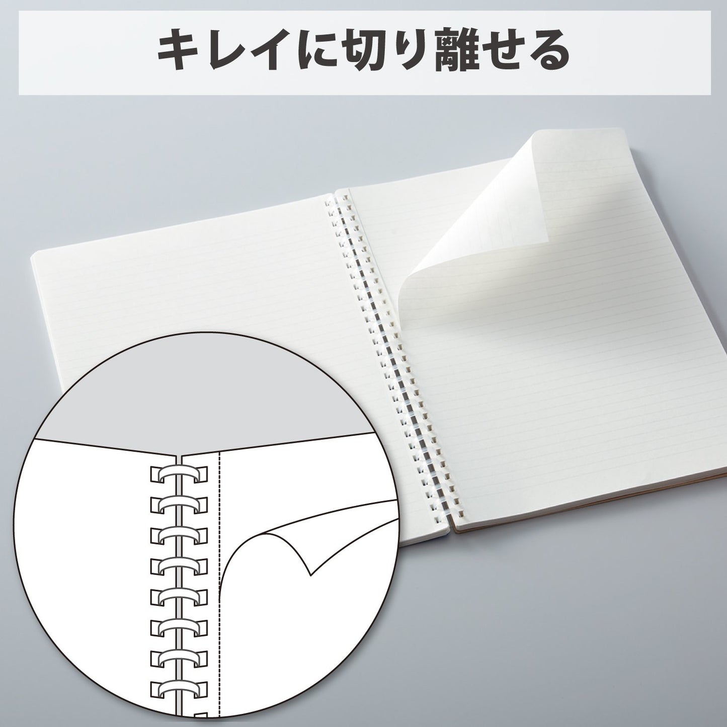 Spiral Lined Notebook, 10x7 inches, 80 perforated sheets