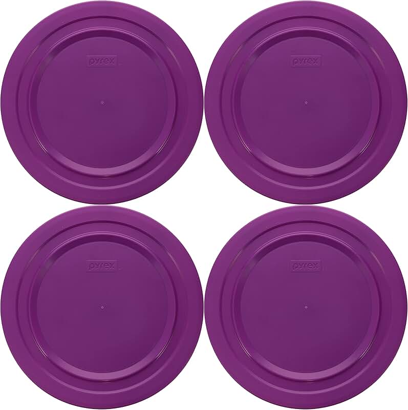 4.2 Qt Flour and Food Storage Container