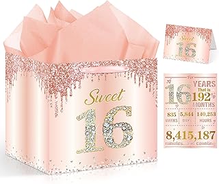 Large Pink Rose Gold Sweet 16 Gift Bag with Card and Wrapping