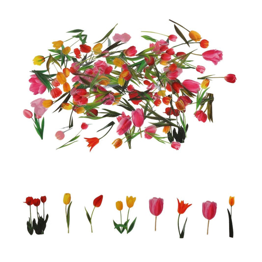 Set of 100 small transparent tulip stickers for crafts