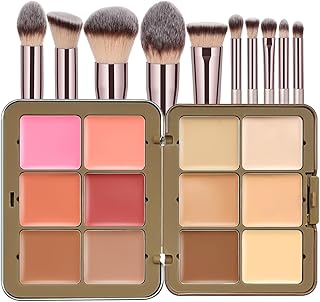 12-Color Blush and Concealer Palette with 10 Makeup Brushes