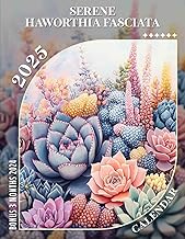 Serene Haworthia Fasciata: Yearly Planning and Organization