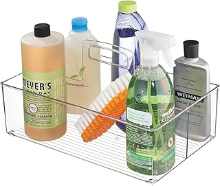 Large Clear Plastic Storage Organizer with Handle