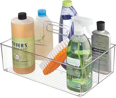 Large Clear Plastic Storage Organizer with Handle