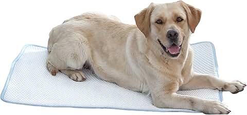 Dog Cooling Mat for Large Dogs, Scratch Resistant, Portable