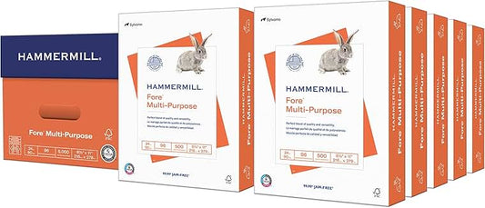 Multipurpose 24 lb Copy Paper, 8.5 x 11, 10 Reams