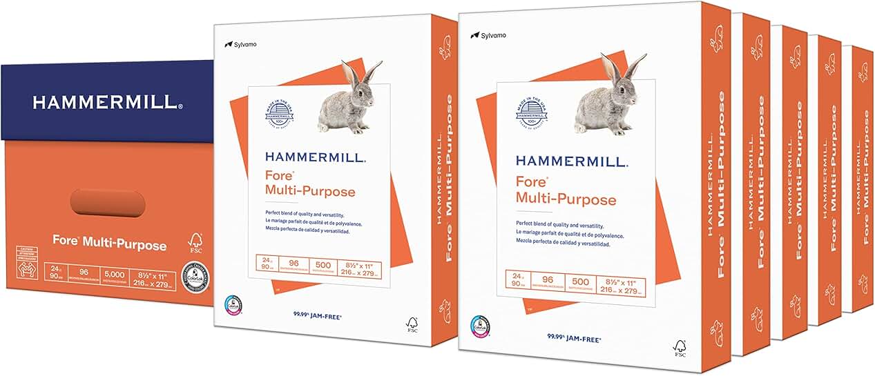 Multipurpose 24 lb Copy Paper, 8.5 x 11, 10 Reams