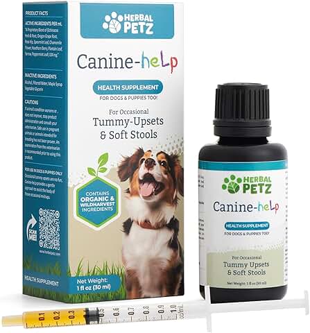 Herbal Support for Dogs' Digestive Health