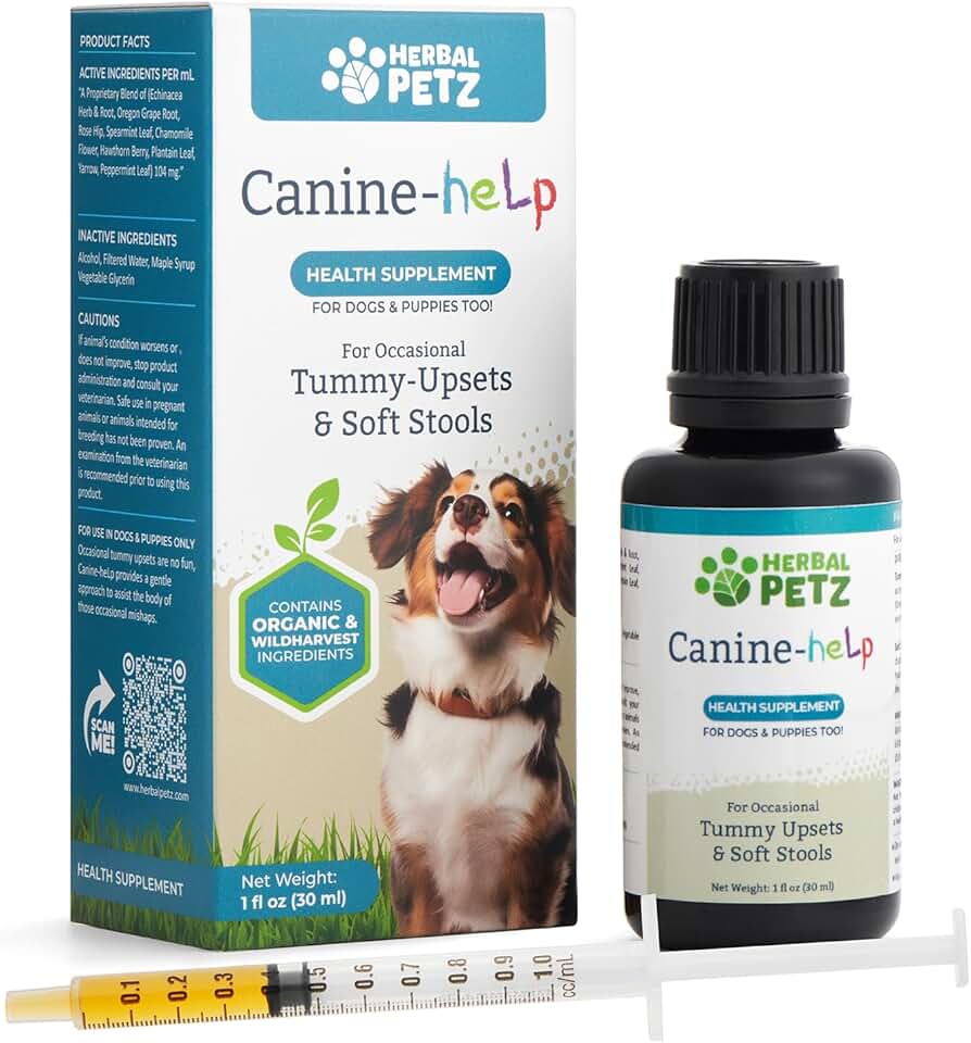 Herbal Support for Dogs' Digestive Health