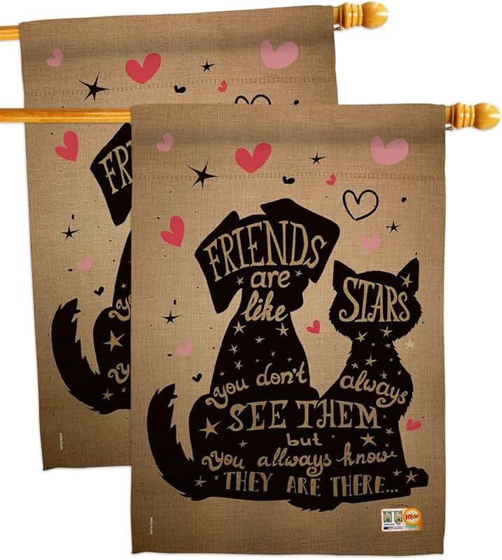Friends Like Stars House Flag, 2 Pack, Garden Decor
