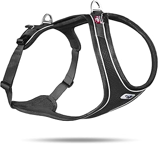 Comfortable Black XL Harness
