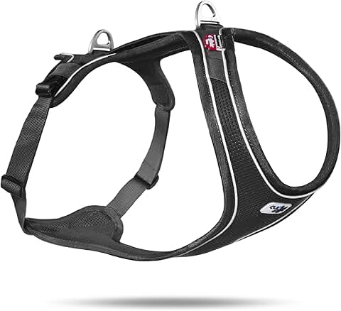 Comfortable Black XL Harness