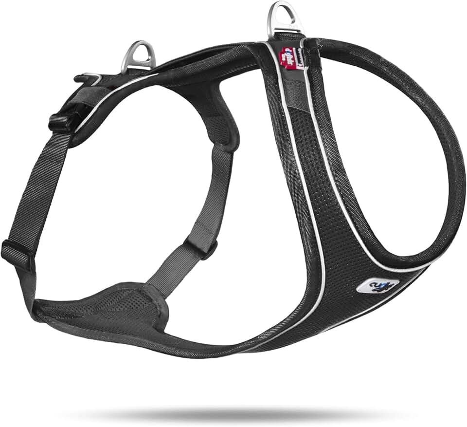 Comfortable Black XL Harness