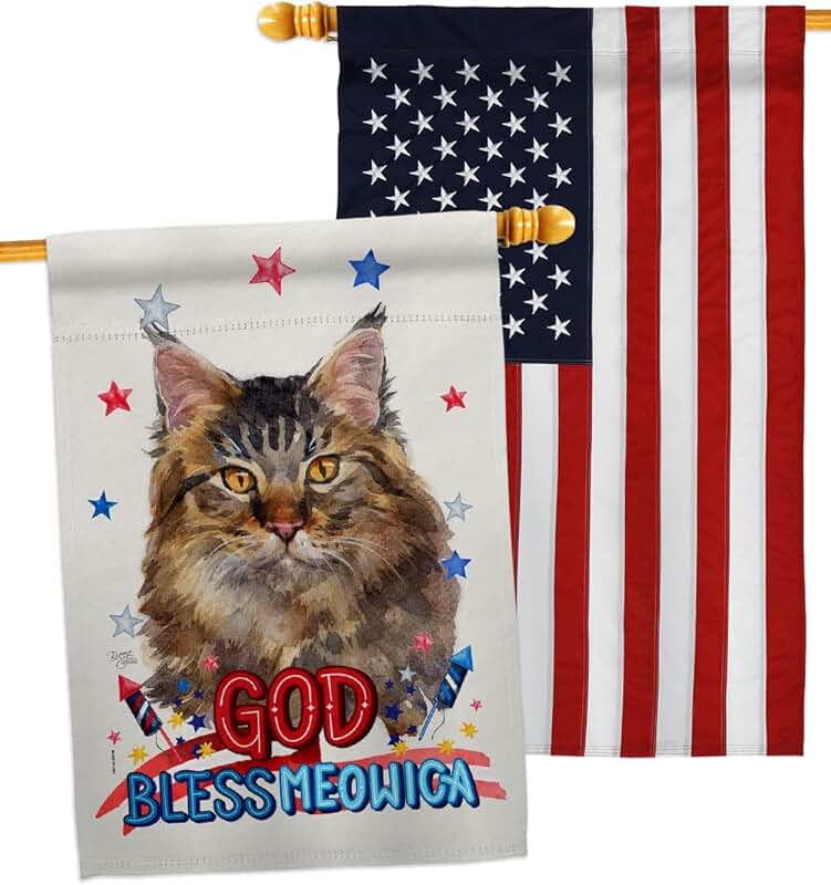 Patriotic Maine Coon Cat House Flag Pack