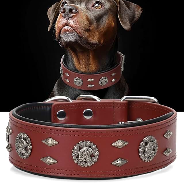 Adjustable 2-Inch Leather Dog Collar for Large Breeds