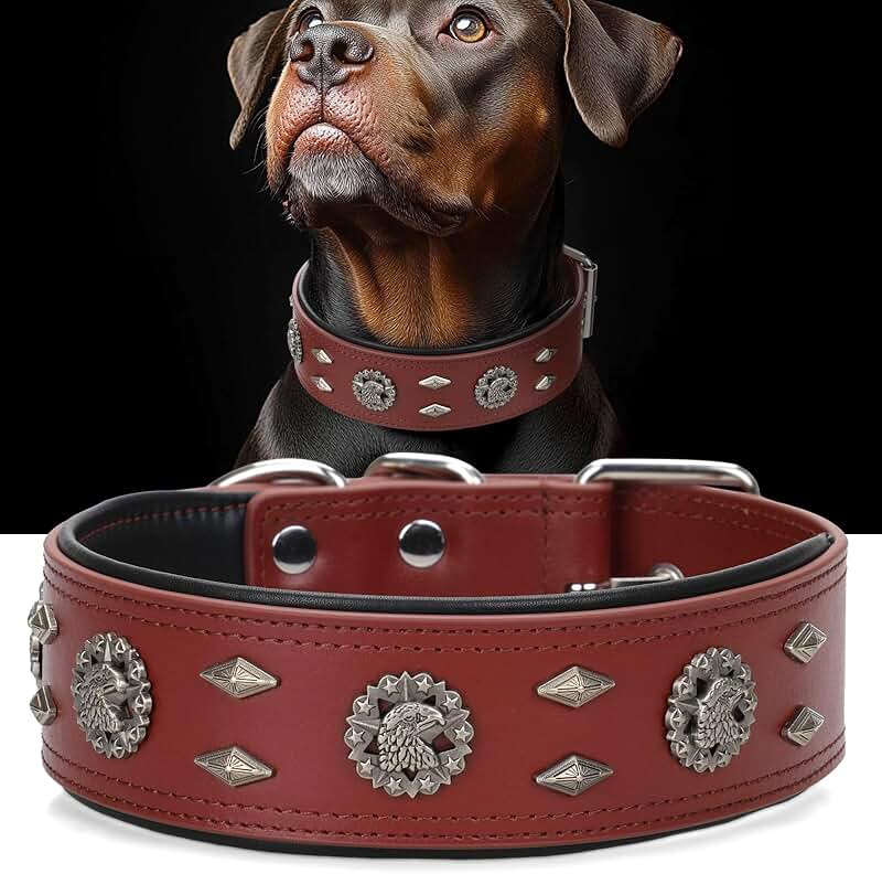 Adjustable 2-Inch Leather Dog Collar for Large Breeds