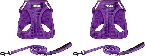 All-Weather Mesh Dog Harness and Leash Combo