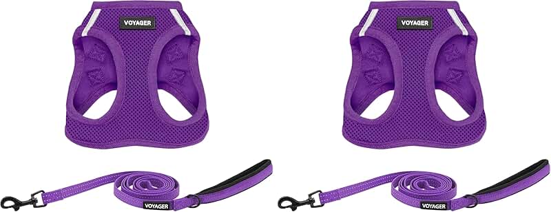 All-Weather Mesh Dog Harness and Leash Combo