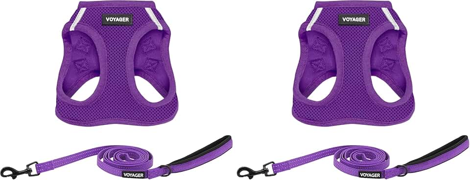 All-Weather Mesh Dog Harness and Leash Combo