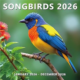 Wildlife Bird Wall Calendar 2026, 12 Months, 12"x24"
