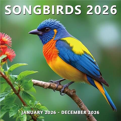 Wildlife Bird Wall Calendar 2026, 12 Months, 12"x24"