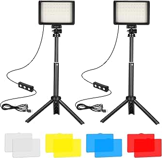 Two 5600K Dimmable LED Video Lights with Tripods and Filters