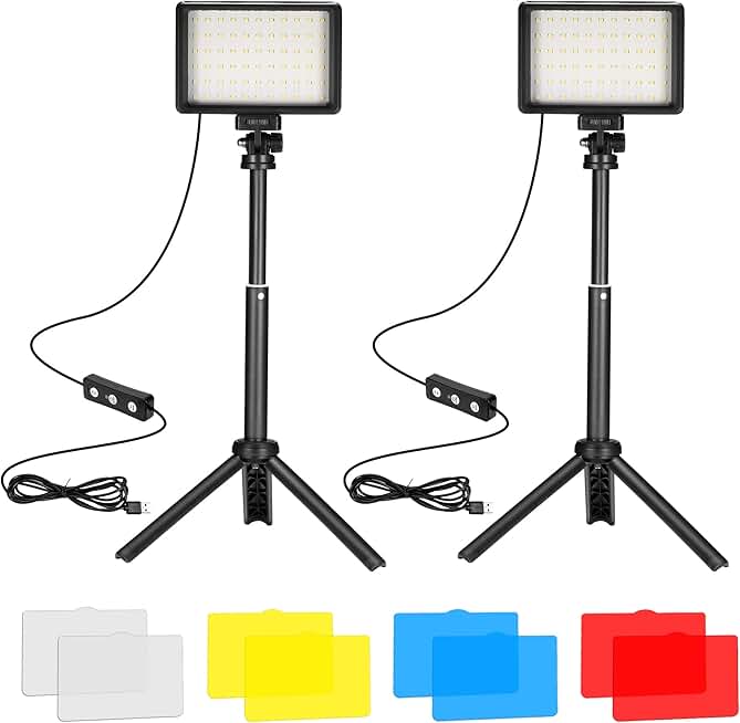 Two 5600K Dimmable LED Video Lights with Tripods and Filters