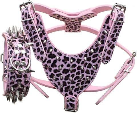 Leather Spiked Dog Collar and Harness Set