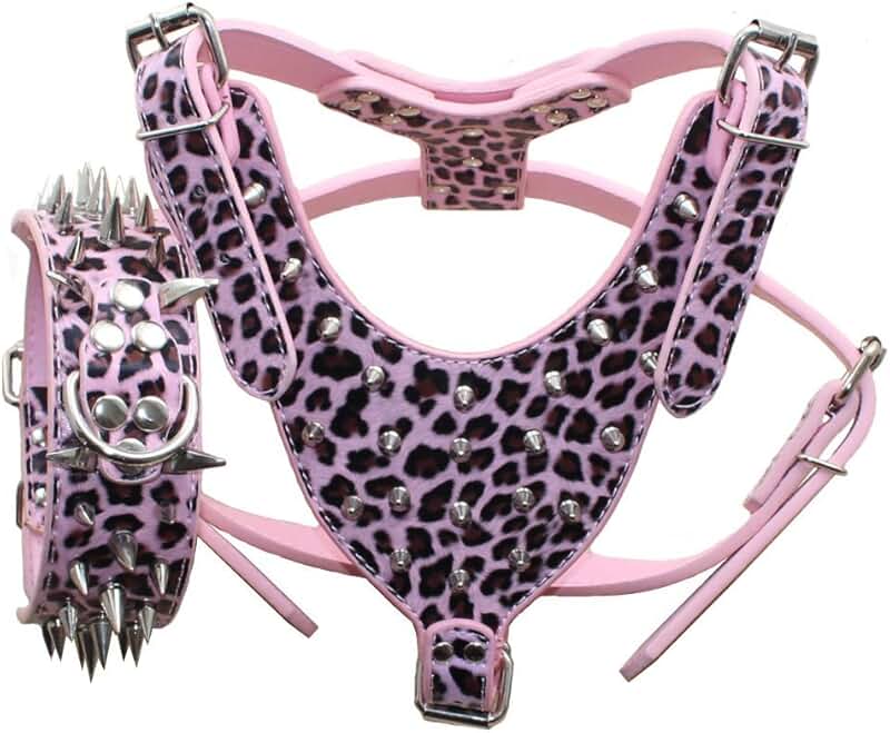 Leather Spiked Dog Collar and Harness Set