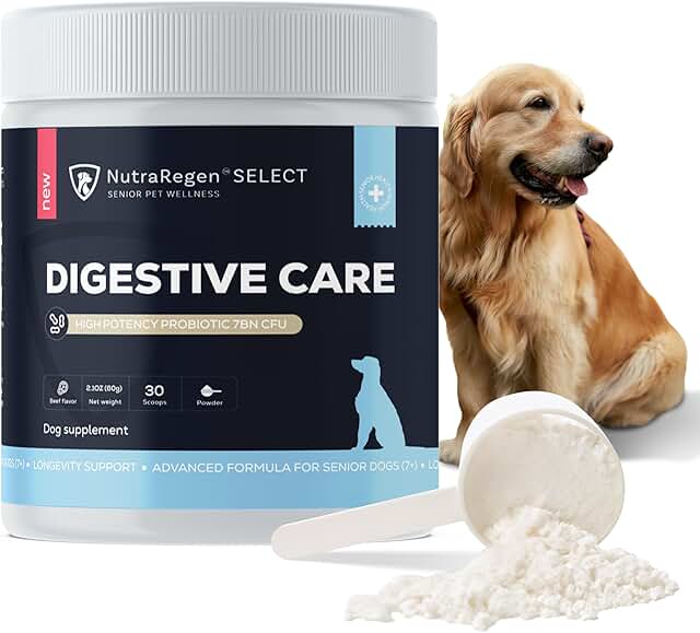 Digestive Senior Dog Probiotic Powder for Gut & Skin Health