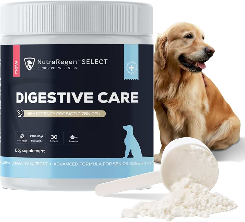 Digestive Senior Dog Probiotic Powder for Gut & Skin Health