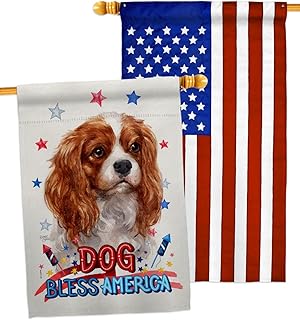Patriotic Dog House Flag Pack for Garden or Yard