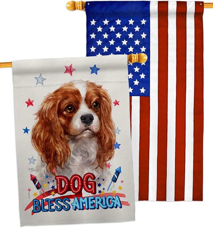 Patriotic Dog House Flag Pack for Garden or Yard