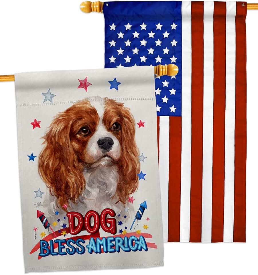 Patriotic Dog House Flag Pack for Garden or Yard
