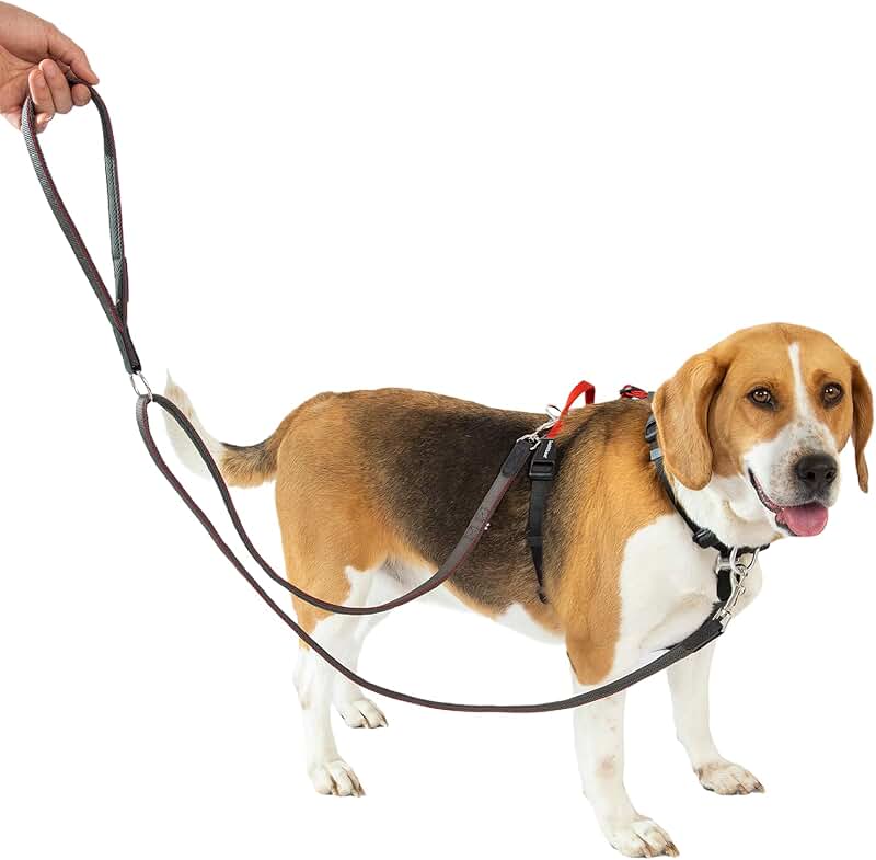 Dog Harness and Leash Set for Easy Walking and Training