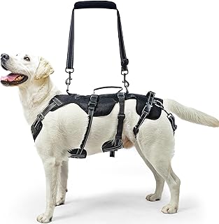 Dog Lift Harness for Support and Mobility
