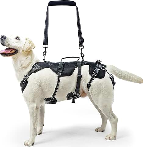 Dog Lift Harness for Support and Mobility