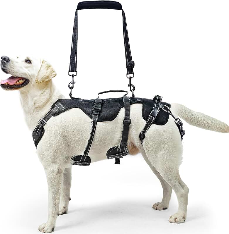 Dog Lift Harness for Support and Mobility