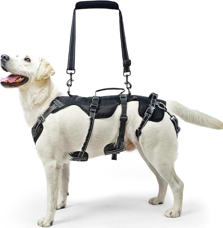 Dog Lift Harness for Support and Mobility
