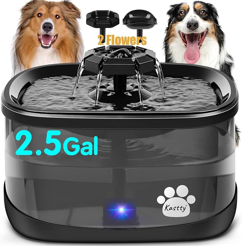 Dog and Cat Water Fountain with 3 Flow Modes