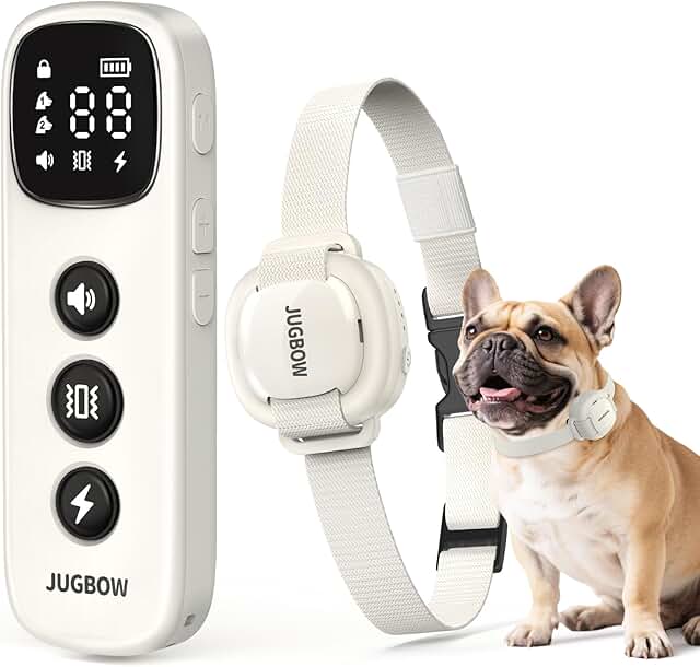 Dog Training Collar for Small Dogs, Waterproof, Remote