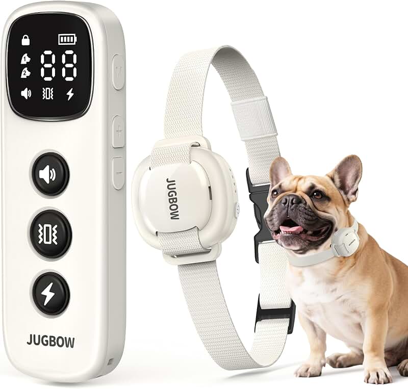Dog Training Collar for Small Dogs, Waterproof, Remote