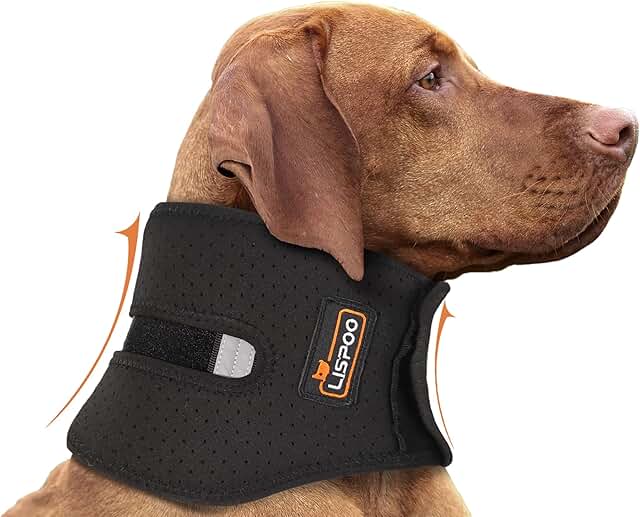 Dog Neck Support for IVDD and Neck Injuries
