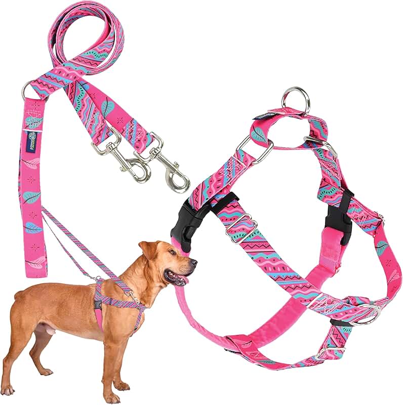 No-Pull Dog Harness and Leash for Large Dogs