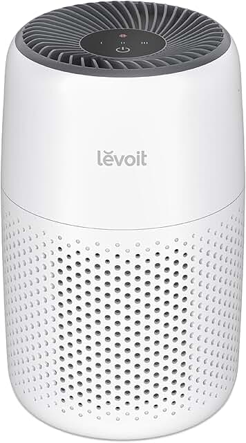 3-in-1 Air Purifier for Bedroom and Home