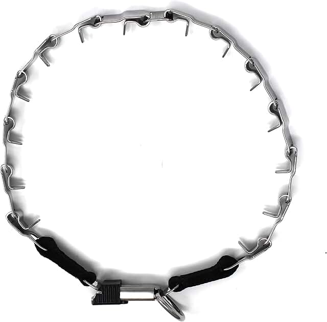 Stainless Steel Prong Dog Training Collar 24 inches