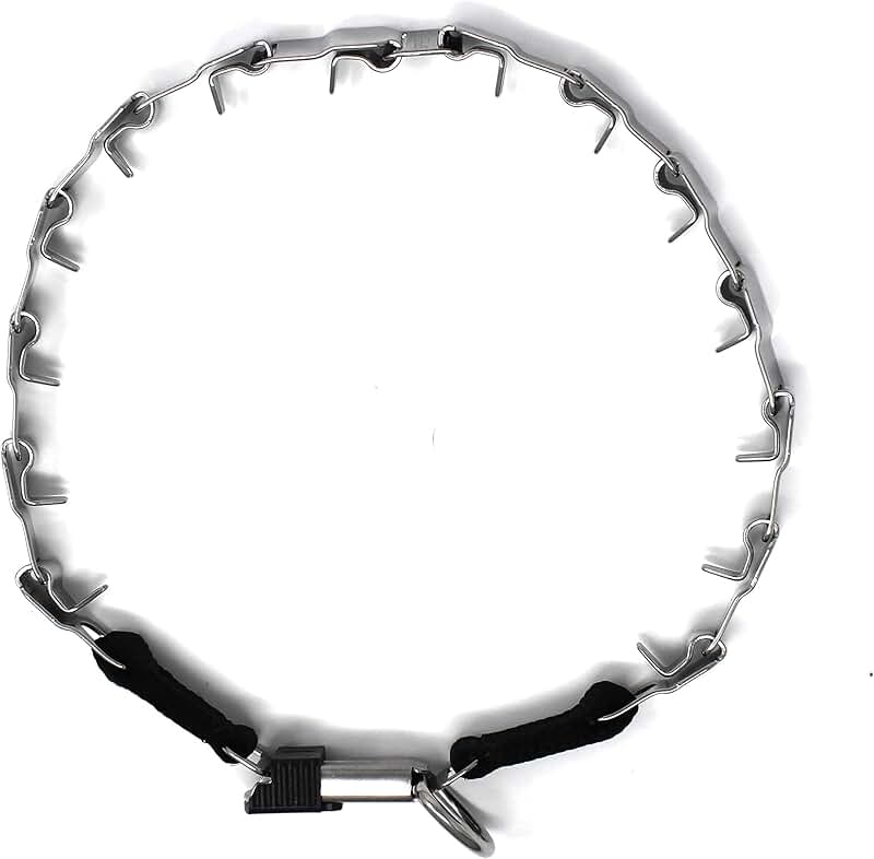 Stainless Steel Prong Dog Training Collar 24 inches